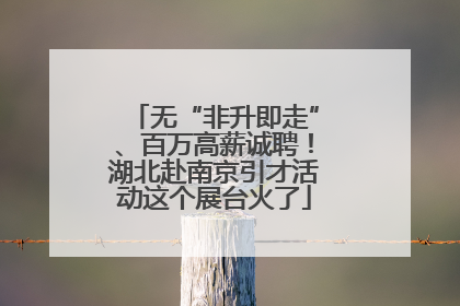 无“非升即走”、百万高薪诚聘！湖北赴南京引才活动这个展台火了