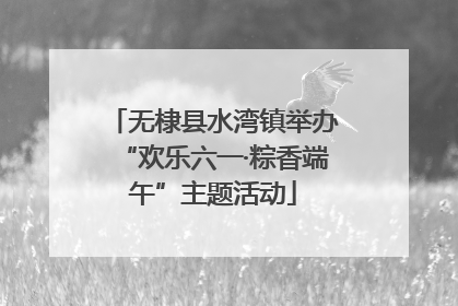 无棣县水湾镇举办“欢乐六一·粽香端午”主题活动
