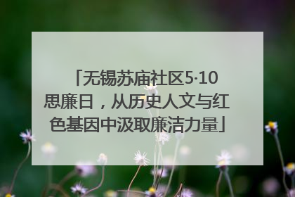 无锡苏庙社区5·10思廉日，从历史人文与红色基因中汲取廉洁力量
