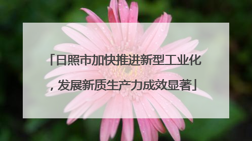 日照市加快推进新型工业化，发展新质生产力成效显著