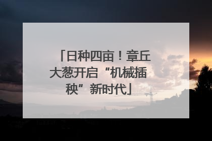 日种四亩！章丘大葱开启“机械插秧”新时代