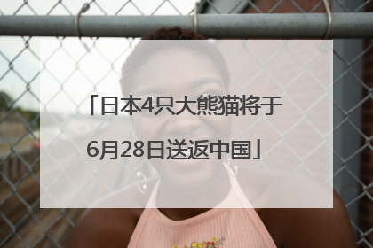 日本4只大熊猫将于6月28日送返中国