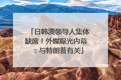 日韩澳领导人集体缺席！外媒曝光内幕：与特朗普有关