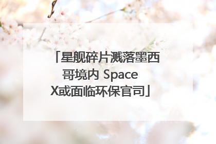 星舰碎片溅落墨西哥境内 SpaceX或面临环保官司