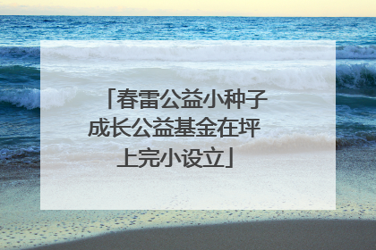 春雷公益小种子成长公益基金在坪上完小设立