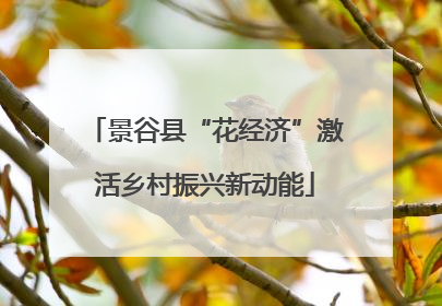 景谷县“花经济”激活乡村振兴新动能