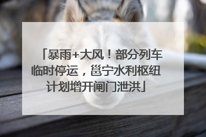 暴雨+大风！部分列车临时停运，邕宁水利枢纽计划增开闸门泄洪