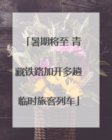 暑期将至 青藏铁路加开多趟临时旅客列车