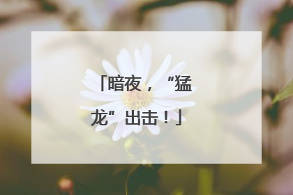 暗夜，“猛龙”出击！