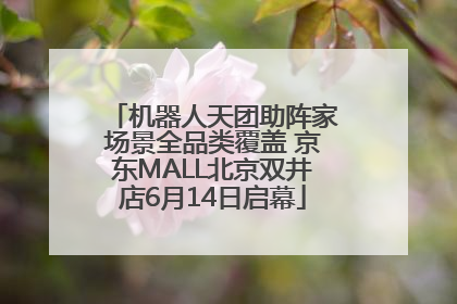 机器人天团助阵家场景全品类覆盖 京东MALL北京双井店6月14日启幕