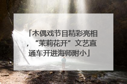木偶戏节目精彩亮相，“茉莉花开”文艺直通车开进海师附小