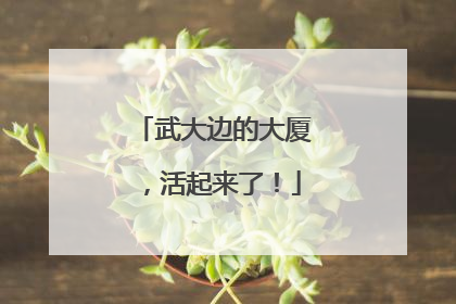 武大边的大厦，活起来了！