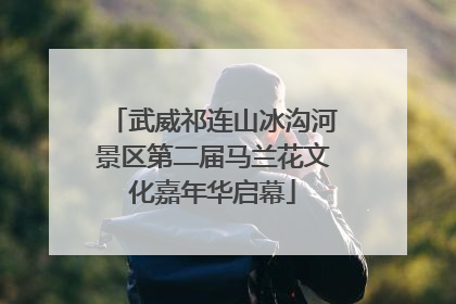 武威祁连山冰沟河景区第二届马兰花文化嘉年华启幕