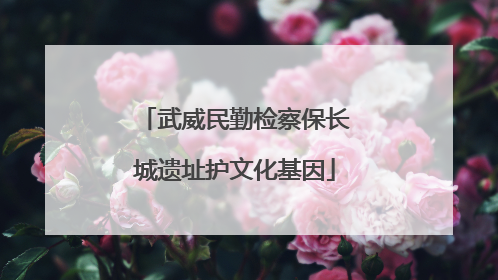 武威民勤检察保长城遗址护文化基因