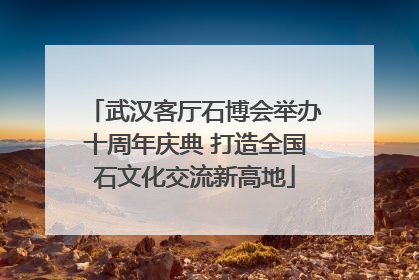 武汉客厅石博会举办十周年庆典 打造全国石文化交流新高地