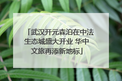武汉开元森泊在中法生态城盛大开业 华中文旅再添新地标