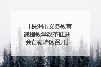 株洲市义务教育课程教学改革推进会在荷塘区召开