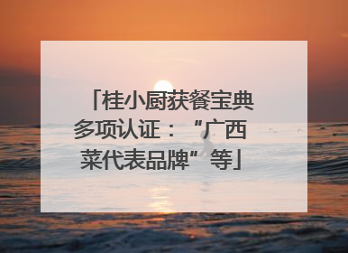 桂小厨获餐宝典多项认证：“广西菜代表品牌”等