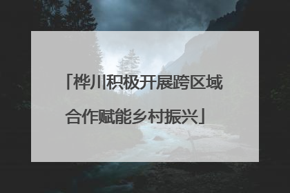 桦川积极开展跨区域合作赋能乡村振兴