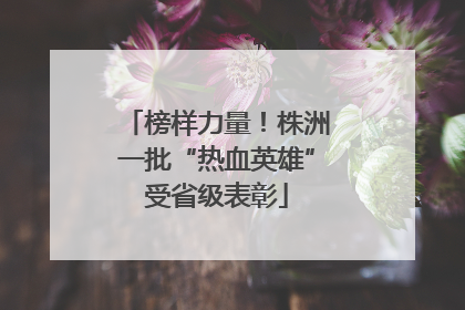 榜样力量！株洲一批“热血英雄”受省级表彰