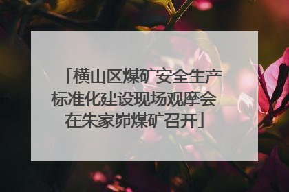 横山区煤矿安全生产标准化建设现场观摩会在朱家峁煤矿召开