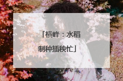 横峰：水稻制种插秧忙