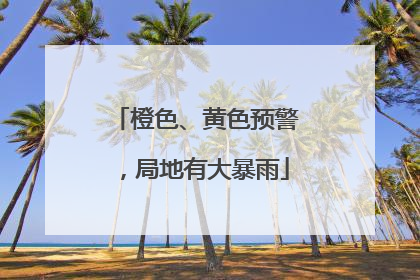 橙色、黄色预警，局地有大暴雨