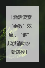激活要素“乘数”效应，“链”起供销助农新路径