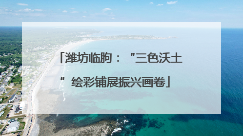 潍坊临朐：“三色沃土”绘彩铺展振兴画卷