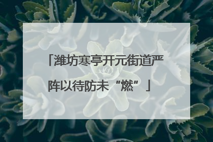 潍坊寒亭开元街道严阵以待防未“燃”