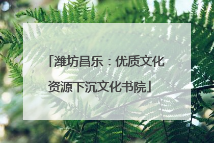 潍坊昌乐：优质文化资源下沉文化书院