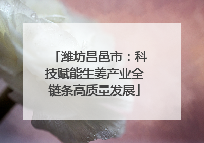潍坊昌邑市：科技赋能生姜产业全链条高质量发展