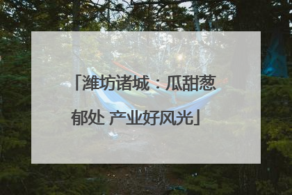 潍坊诸城：瓜甜葱郁处 产业好风光