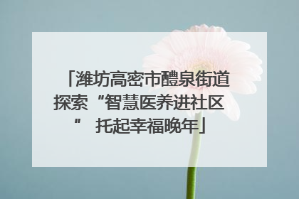 潍坊高密市醴泉街道探索“智慧医养进社区” 托起幸福晚年
