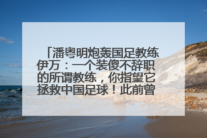 潘粤明炮轰国足教练伊万：一个装傻不辞职的所谓教练，你指望它拯救中国足球！此前曾多次发文评价国足
