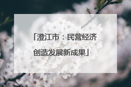 澄江市：民营经济创造发展新成果