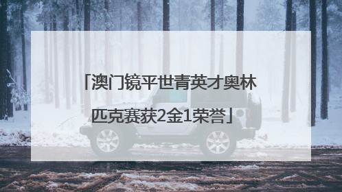 澳门镜平世青英才奥林匹克赛获2金1荣誉