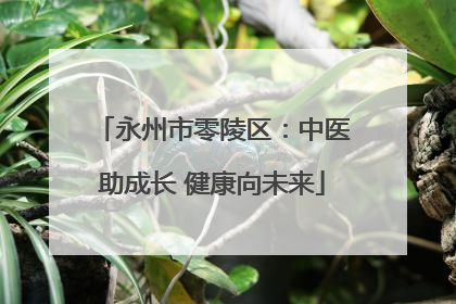 永州市零陵区：中医助成长 健康向未来