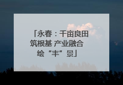 永春：千亩良田筑根基 产业融合绘“丰”景