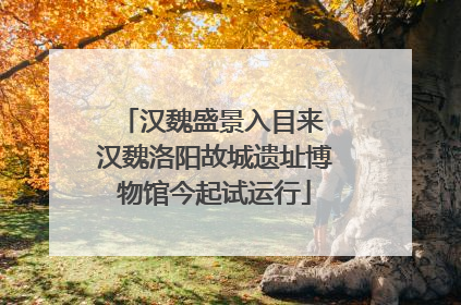 汉魏盛景入目来 汉魏洛阳故城遗址博物馆今起试运行