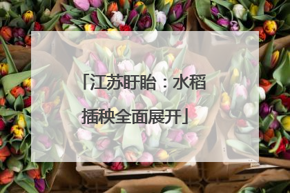 江苏盱眙：水稻插秧全面展开