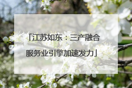江苏如东：三产融合 服务业引擎加速发力