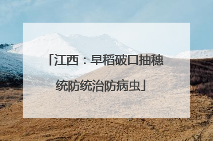江西：早稻破口抽穗 统防统治防病虫