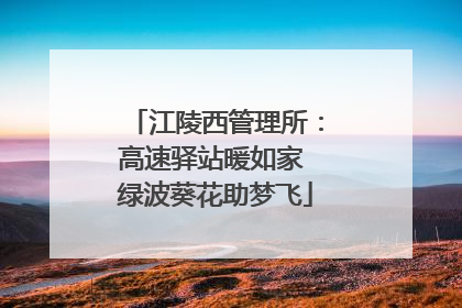 江陵西管理所：高速驿站暖如家 绿波葵花助梦飞