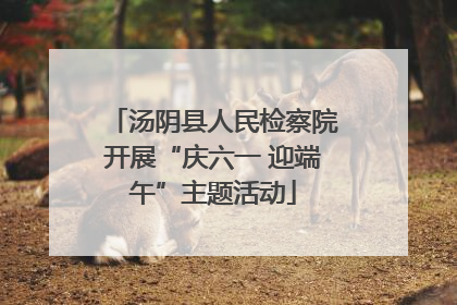 汤阴县人民检察院开展“庆六一 迎端午”主题活动