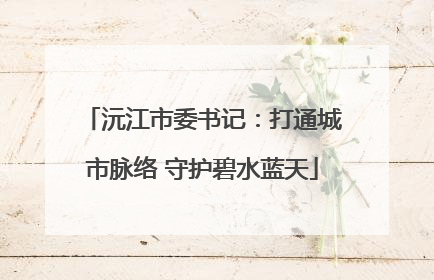 沅江市委书记：打通城市脉络 守护碧水蓝天