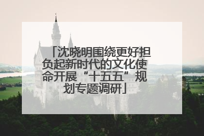 沈晓明围绕更好担负起新时代的文化使命开展“十五五”规划专题调研