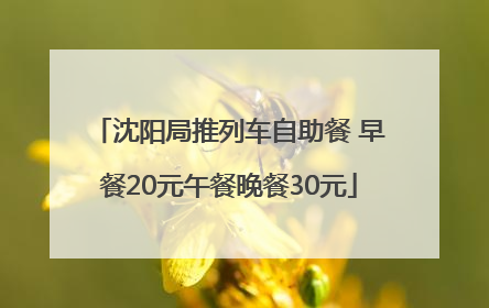 沈阳局推列车自助餐 早餐20元午餐晚餐30元