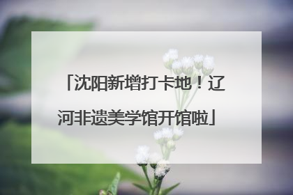 沈阳新增打卡地！辽河非遗美学馆开馆啦