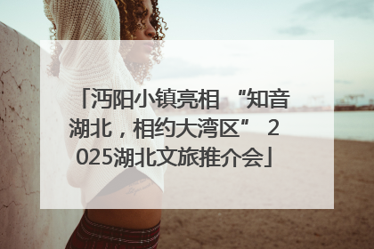 沔阳小镇亮相 “知音湖北，相约大湾区” 2025湖北文旅推介会